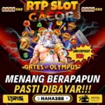 Agen Casino Saldo Gratis: Nikmati Kesempatan Menang Tanpa Modal