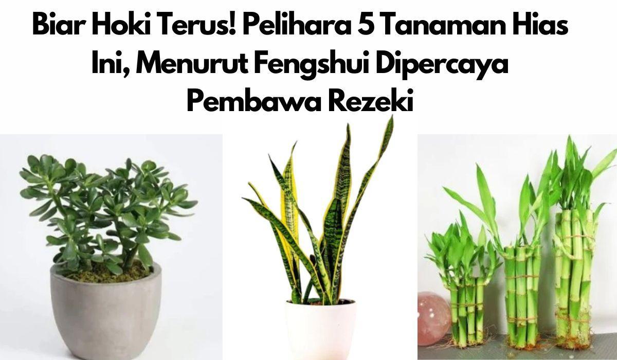 Pastikan Keberuntungan Anda dijamin dengan Hoki Terjamin